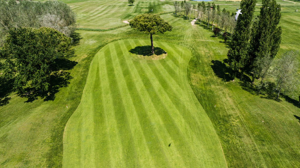 Campo da golf con tappeto erboso macroterma curato da Viridia, esempio di consulenza macroterma per la gestione del verde sportivo